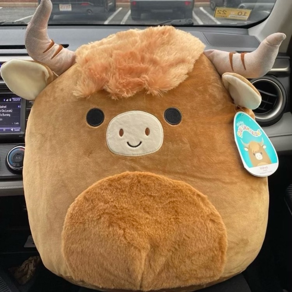 Wilfred Squishmallow 16” NWT